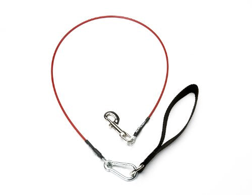 VirChewLy Indestructible Dog Leash - 4 ft, Small, Red