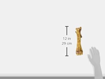 Barkworthies Smoky Shin Bone Dog Chew - Natural Smoked Beef Bone Treat with Marrow