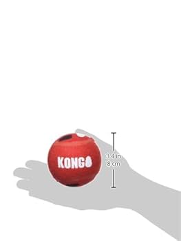 KONG Signature Sport Balls Dog Toy - Large - 2 Pack