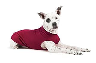 Gold Paw Stretch Fleece Dog Coat - Soft, Warm Dog Clothes, Pet Sweater - Garnet, Size 10