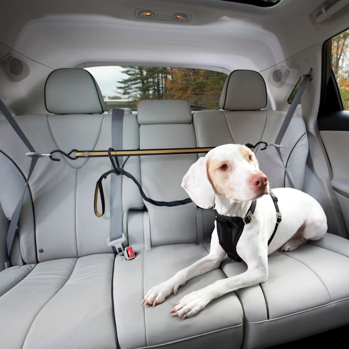 Kurgo Auto Zip Line for Dogs - Black/Orange