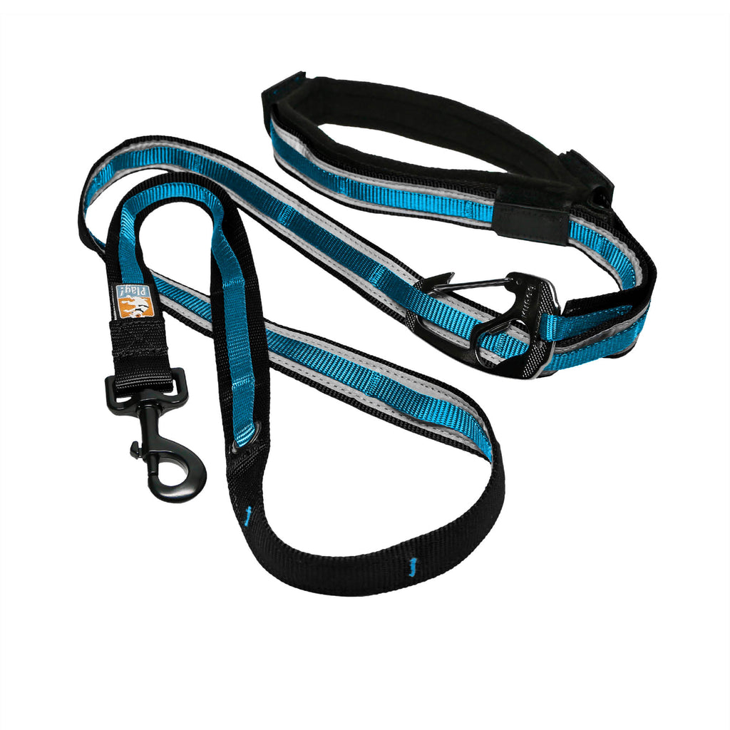 Kurgo Reflect & Protect Quantum Leash - 6-in-1 Multi-Use Dog Lead - Blue