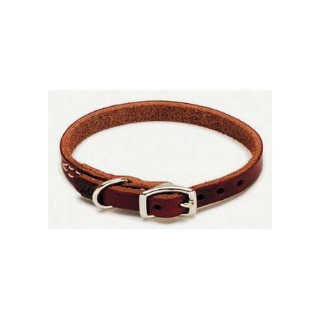 Coastal Pet Products Latigo Leather Dog Collar in Latigo