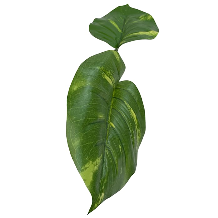 Komodo Guiana Plant - Jumbo Reptile Terrarium Decor, 27" Artificial Rainforest Plant with Weighted Base