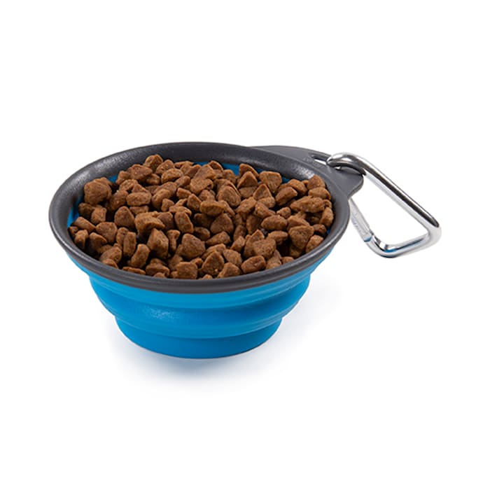 Dexas Collapsible KlipScoop Travel Cup - Small, 1-Cup Capacity, Pro Blue Pet Dish