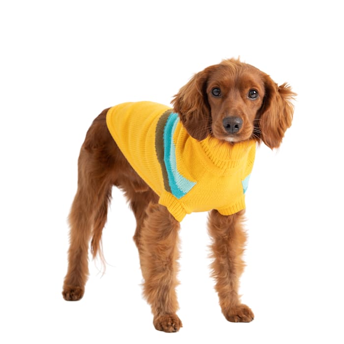 GF Pet GS414F1-YE-3XL Alpine Sweater  Yellow - 3XL