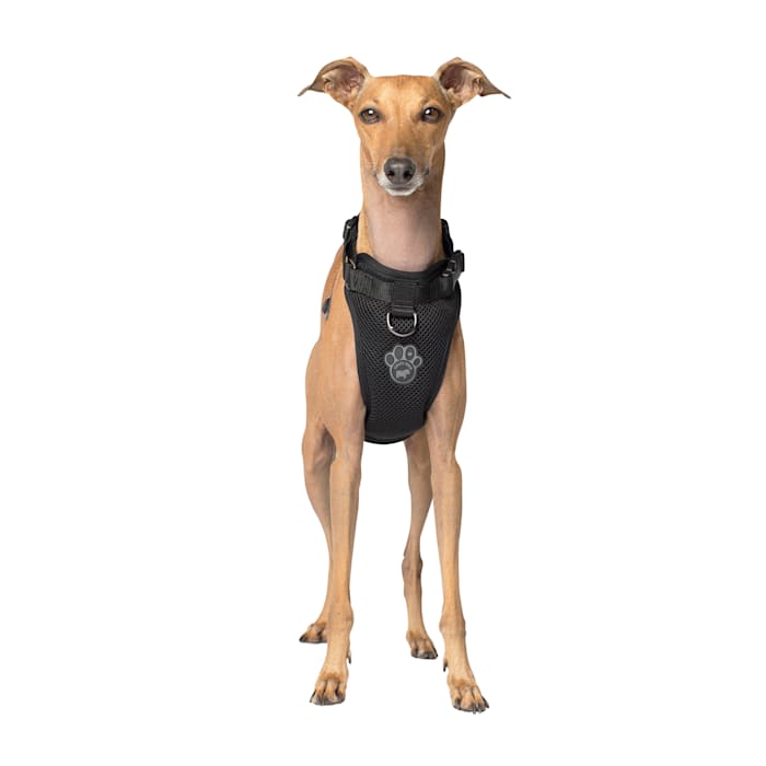 Canada Pooch Everything Dog Harness, Black Mesh, Small