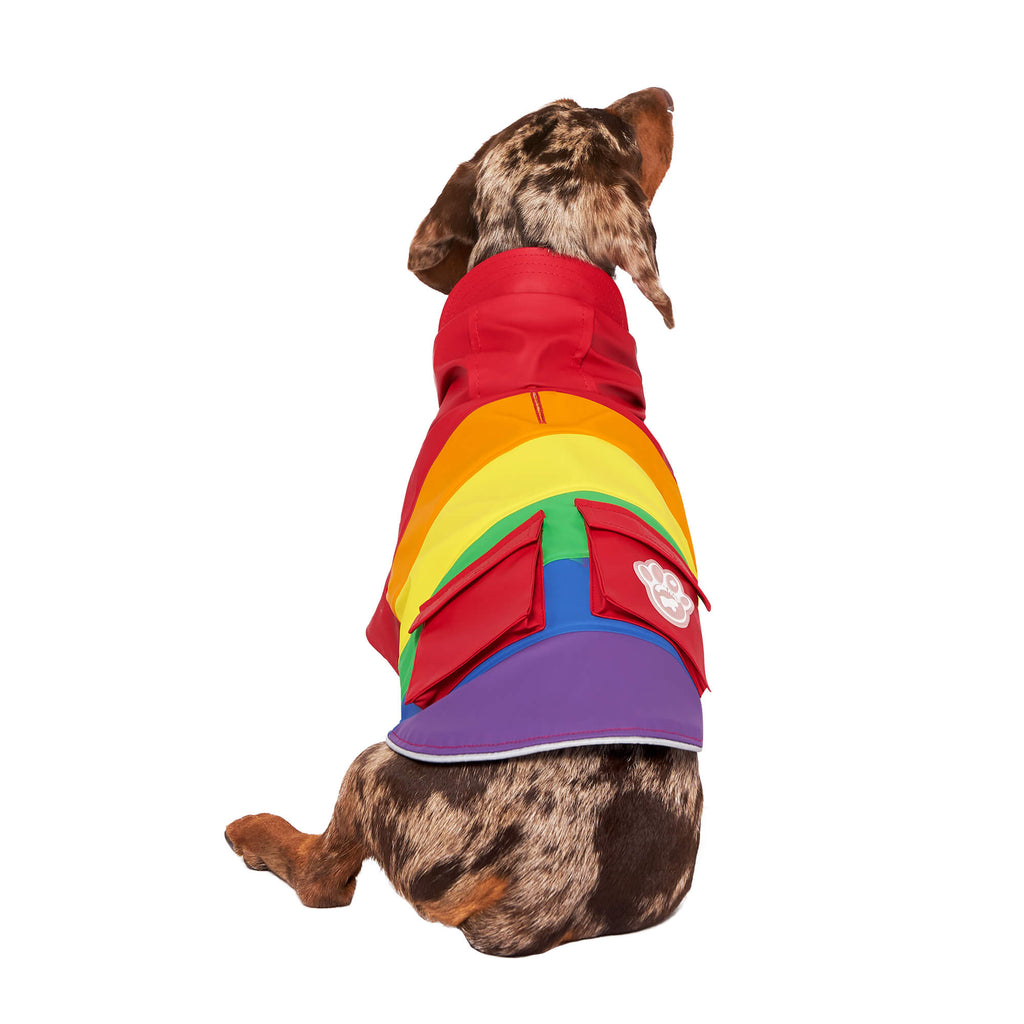 Canada Pooch Torrential Tracker Dog Raincoat, Rainbow, Size 22