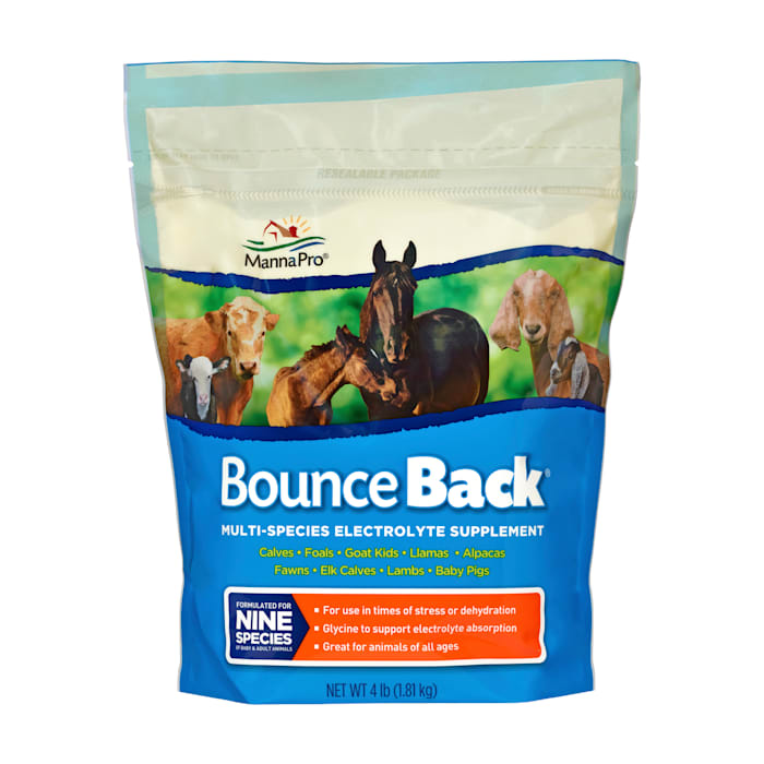 Manna Pro Bounce Back 4LB