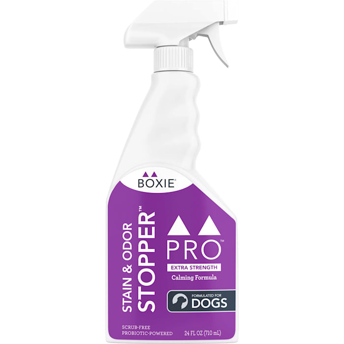 Boxiedog Premium Extra Strength Stain & Odor Remover  24 ...