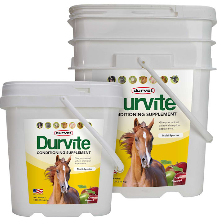 Durvet Durvite Supplement with Omega 3 s Multi-Species 5 ...