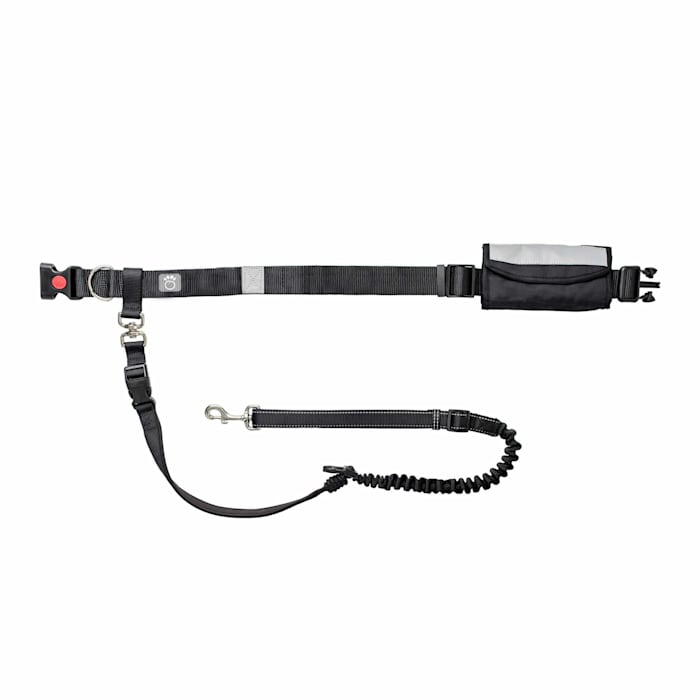 Go Fresh Pet GFF6A258 Waist Belt Plus Bungee Leash - One ...