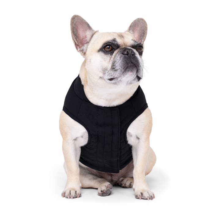 Canada Pooch Ultimate Stretch Dog Vest - Black - Size 12/14 - Waterproof, Comfortable Fit