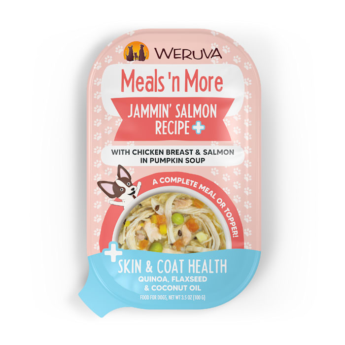Weruva Meals 'n More Jammin' Salmon with Chicken Breast & Salmon in Pumpkin Soup Wet Dog Food, 3.5 oz.