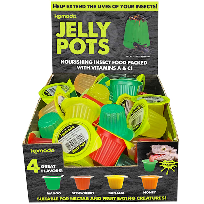 Komodo Jelly Pots - Insect & Fruit Eating Creature Food .56oz Single Pot