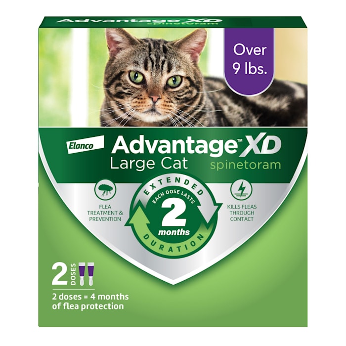Advantage XD Large Cat Flea Treatment, Over 9 lbs, 2 Doses (4-Month Coverage)