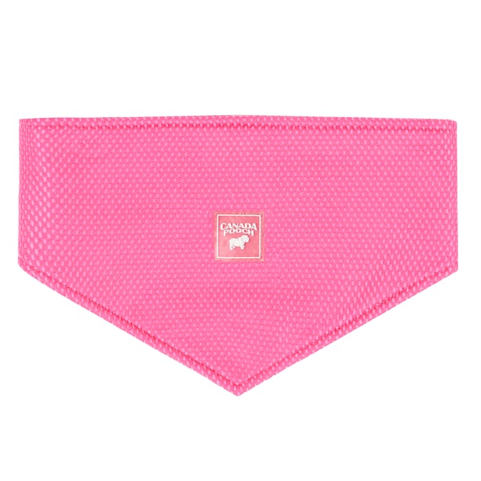 Canada Pooch Pink Chill Seeker Cooling Dog Bandana, Medium