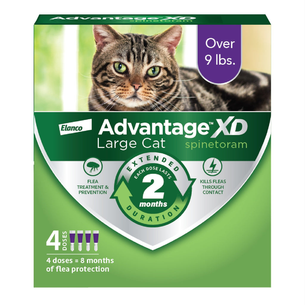 Advantage XD Large Cat Flea Treatment (Over 9 lbs) - 4 Doses (8 Month Supply)