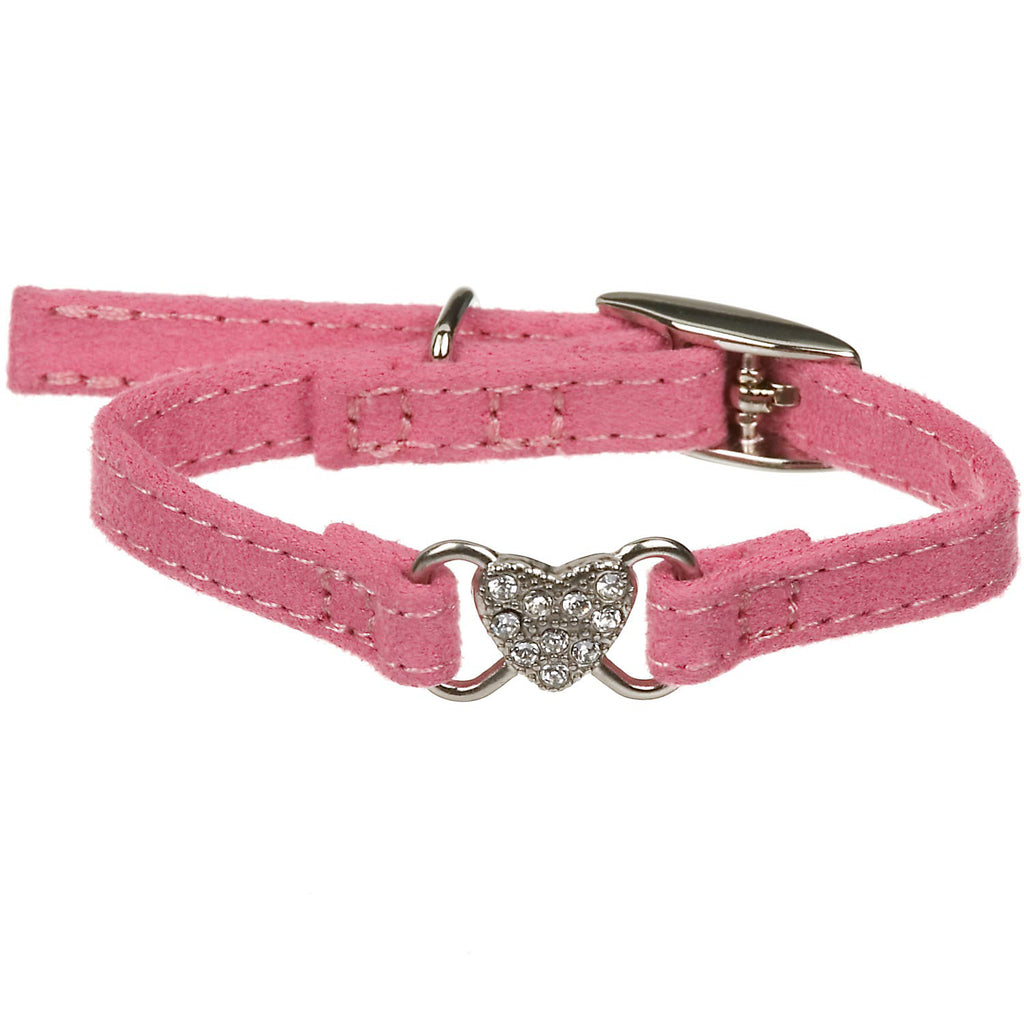 Coastal Pet Li'l Pals Jewel Suede Collar XXS, 5/16 Inch, 8 Inch - Fashionable Small Dog Collar