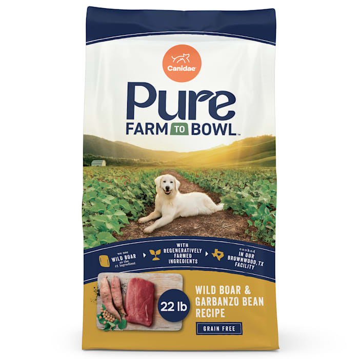 Canidae PURE Grain-Free Wild Boar & Garbanzo Bean Recipe Dry Dog Food, 22 lb