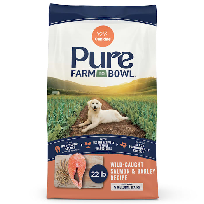 CANIDAE PURE Salmon & Barley Recipe Adult Dry Dog Food, 24 lb
