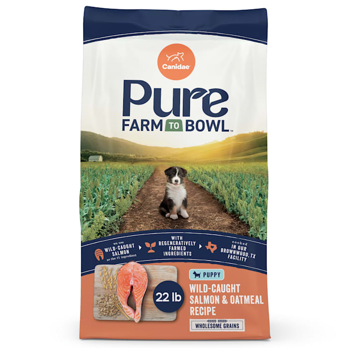 Canidae PURE Puppy Salmon & Oatmeal Recipe with Grains, 24 lb Dry Dog Food