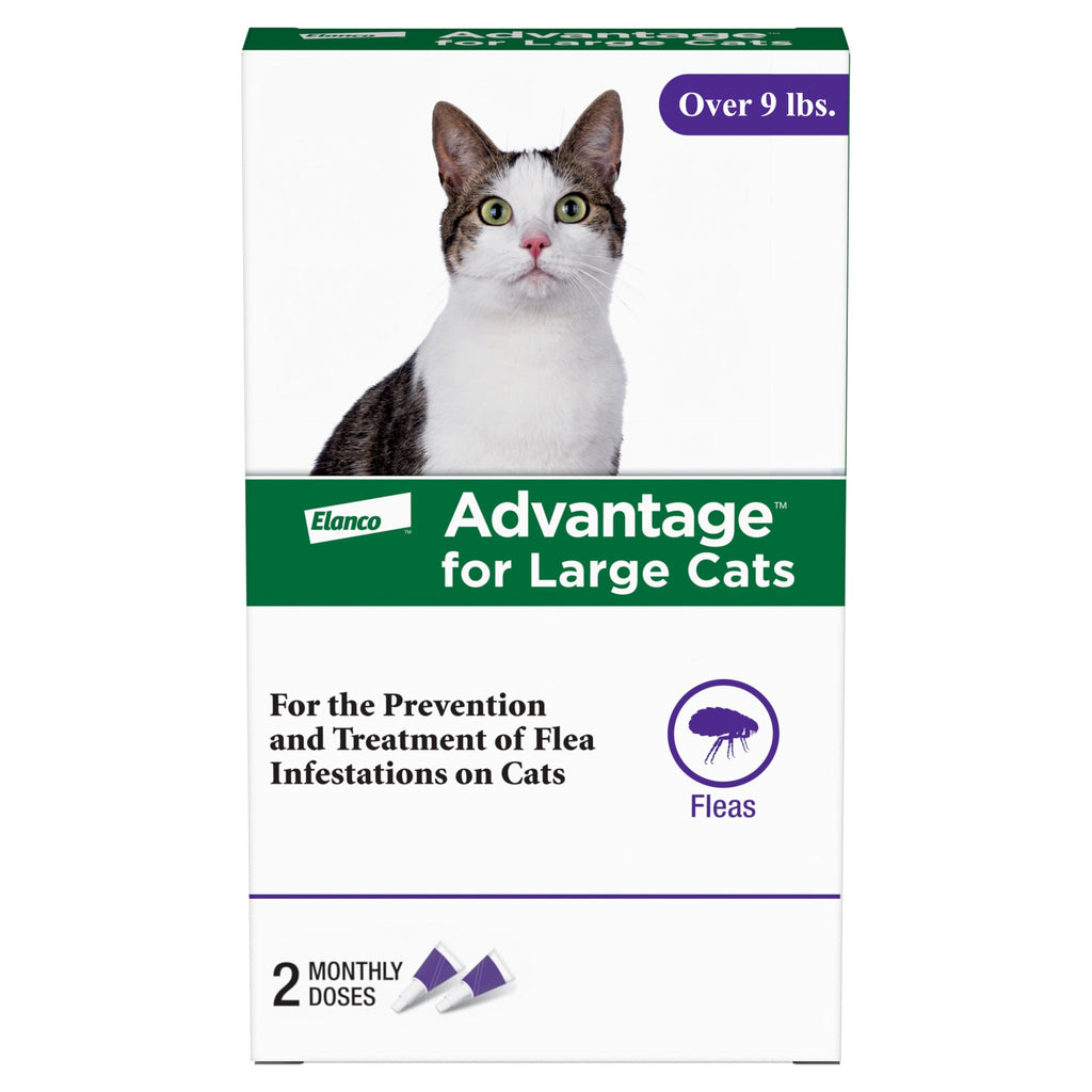 Advantage Cat Flea Treatment - Large Cats (9+ lbs) - Topical Prevention, 2 Doses