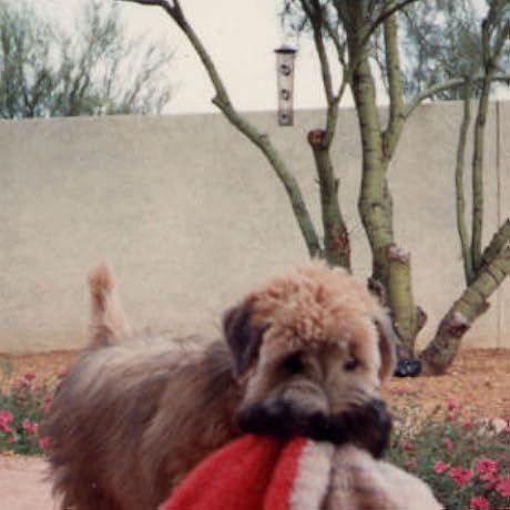 Nulo Frontrunner Turkey, Trout & Spelt Dry Dog Food - Adult, Grain Inclusive Recipe - 11 lb Bag