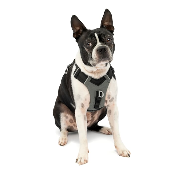 Kurgo Journey Air Harness - Black/Grey - Small - Adjustable Dog Harness