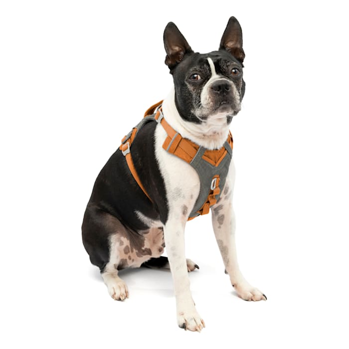 Kurgo Journey Air Dog Harness  Vest Harnesses for Dogs  P...