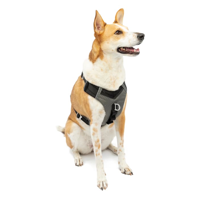 Kurgo Journey Air Dog Harness - Black/Grey - Size Large - Reflective Padded Vest