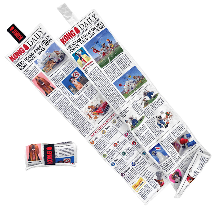 KONG Daily Newspaper Dog Toy, X-Large