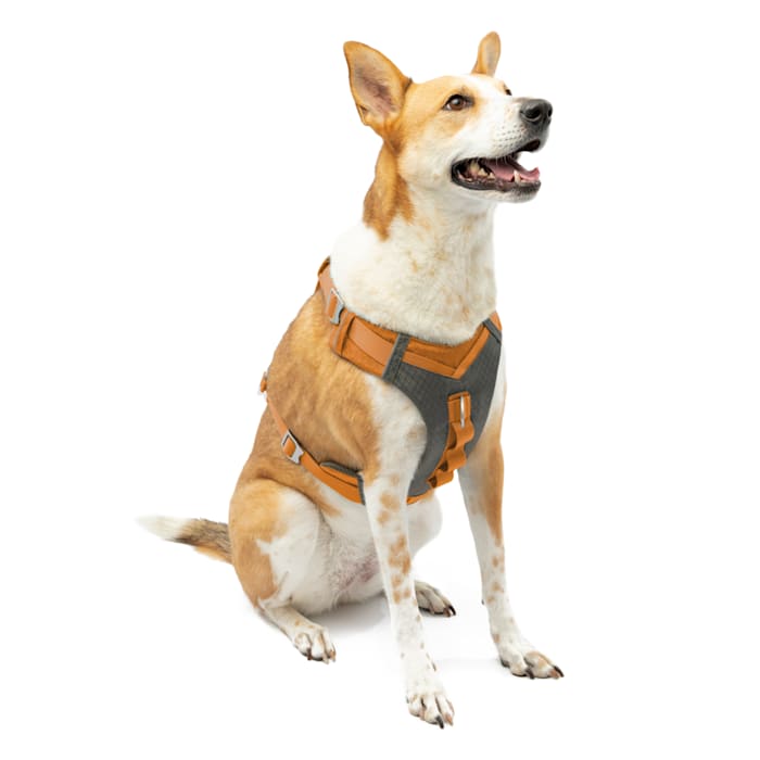 Kurgo Journey Air Dog Harness  Vest Harnesses for Dogs  P...