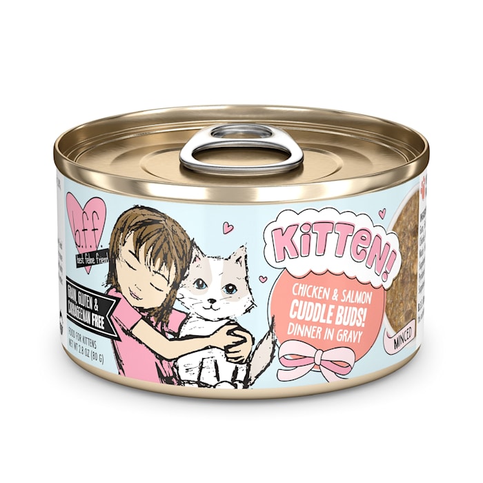 Weruva BFF Kitten Cuddle Buds Chicken & Salmon Dinner in Gravy, 2.8 oz Can