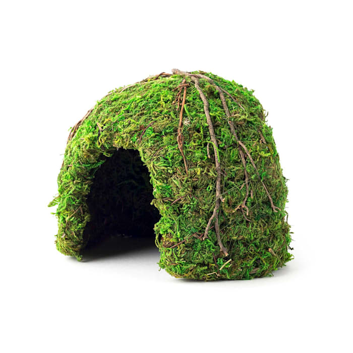 Galapagos Mossy Dome Terrarium Hideaway - 6 Inch Reptile/Amphibian Hide