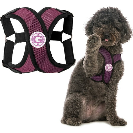 Gooby Comfort X Step-in Dog Harness - Choke-Free, Purple, Small