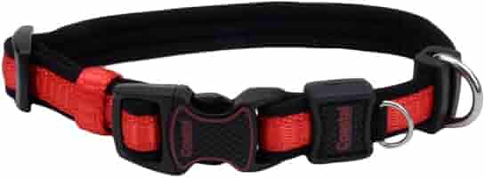 Inspire Adjustable Neoprene Dog Collar - Red, 1" x 14-20" - Medium