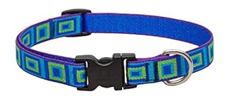 LupinePet Originals Sea Glass Dog Collar - 3/4 inch, Adjustable 9-14 inches