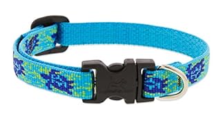 LupinePet Originals 1/2" Turtle Reef Dog Collar, Adjustable 6-9" - Extra Small