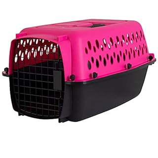 Aspen Pet Porter Fashion Kennel 23" Hot Pink/Black, Small Dog/Cat Carrier, 0-15 lbs