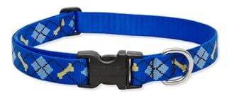 LupinePet Originals 1" Dapper Dog Adjustable Collar, 16-28" - For Large Dogs