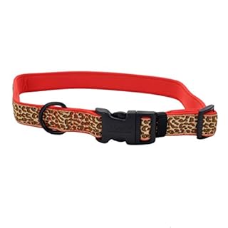 Coastal Pet Ribbon Weave Dog Collar - Brown Leopard on Red - 5/8" x 8-12"