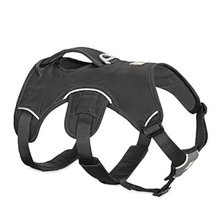 Ruffwear Web Master Dog Harness - Multi-Use Support, Hiking, Trail Running - Size M