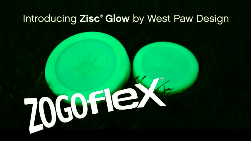 West Paw Zogoflex Zisc Dog Toy - Glow in the Dark, Large, Durable Flying Disc for Fetch