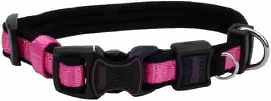 Coastal Pet Inspire Adjustable Dog Collar - Pink - 5/8" Width, 8-12" Neck - XS Small