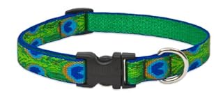 LupinePet Originals 3/4" Tail Feathers Dog Collar - Adjustable 13-22"