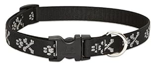 LupinePet Originals Bling Bonz Dog Collar 3/4 inch, Adjusts 9-14"