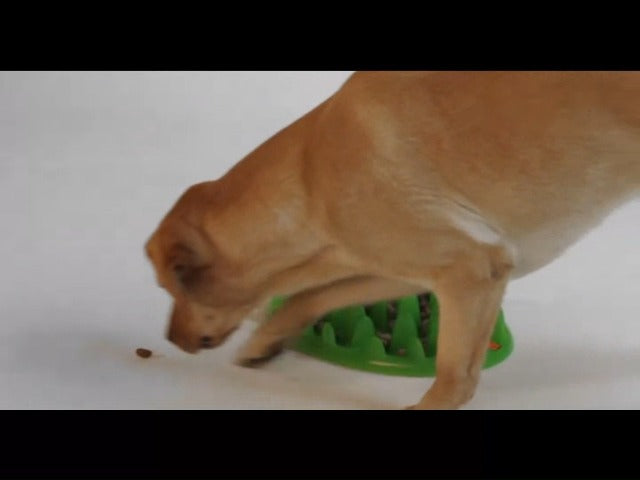 Company of Animals GREEN Slow Feeder - Interactive Dog Bowl - Large - Anti-Gulping