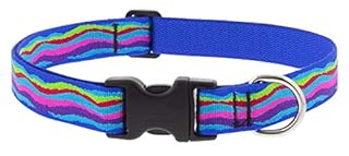 LupinePet Ripple Creek Dog Collar 1" Wide, Adjustable 16-28"