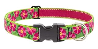 LupinePet Original Petunias Dog Collar - Adjustable Nylon, 1" Wide, 16-28"